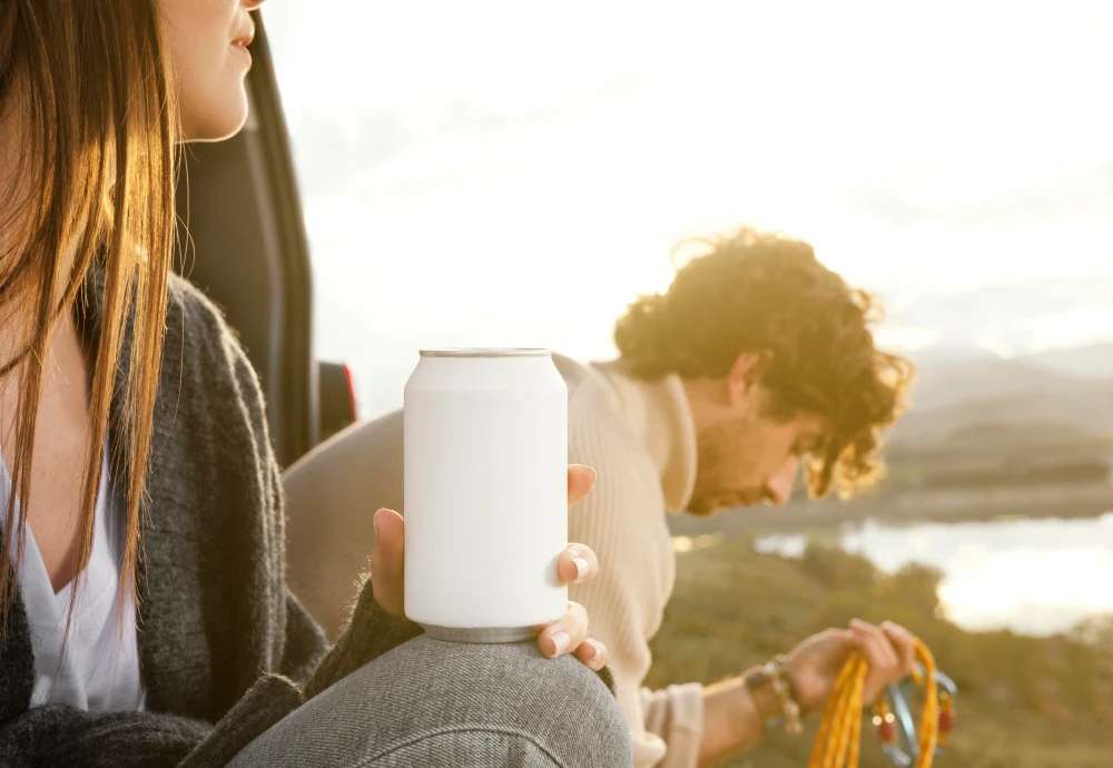 portable ice cream cooler box