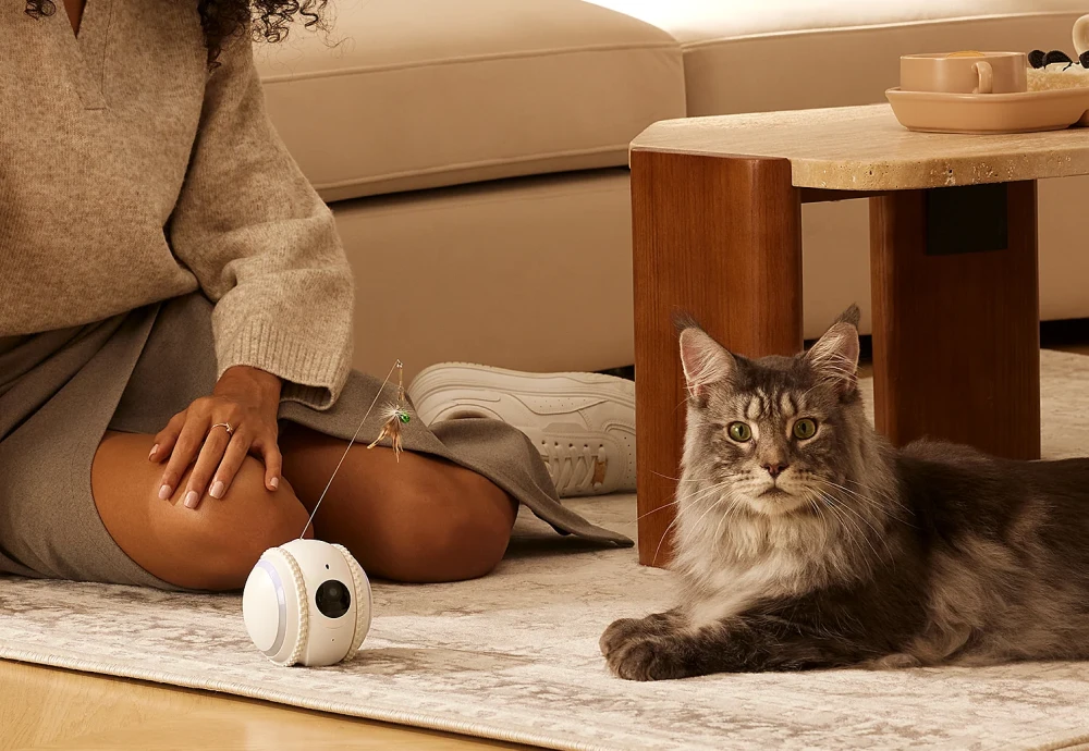pet camera robot